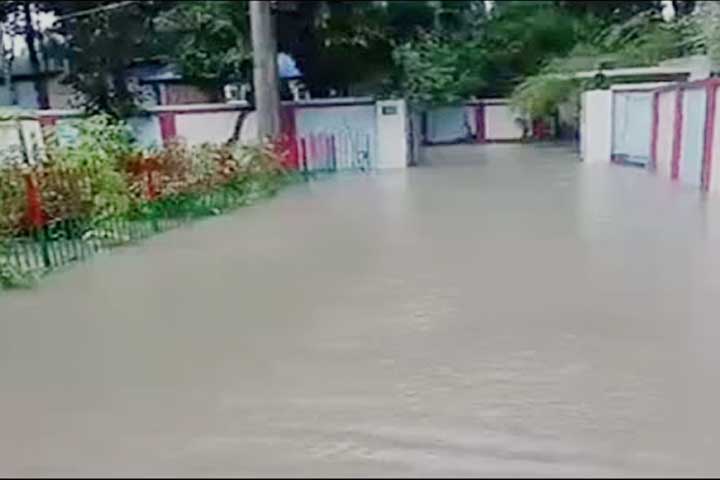 ছবি: সংগৃহীত ছবি: সংগৃহীত